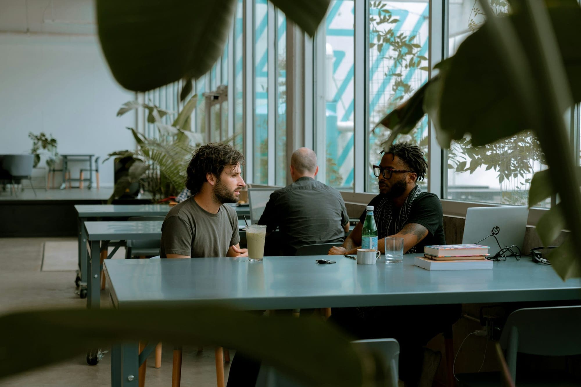 Three colleagues talking at a long table in a bright studio, seen through the leaves of a plant.